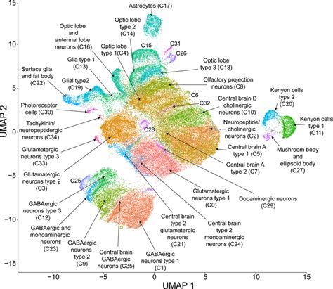 Visualizing single cell data .